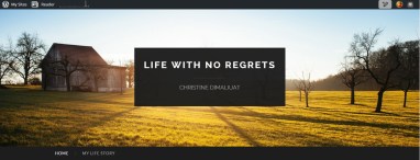 ChristineDimaliuat.com