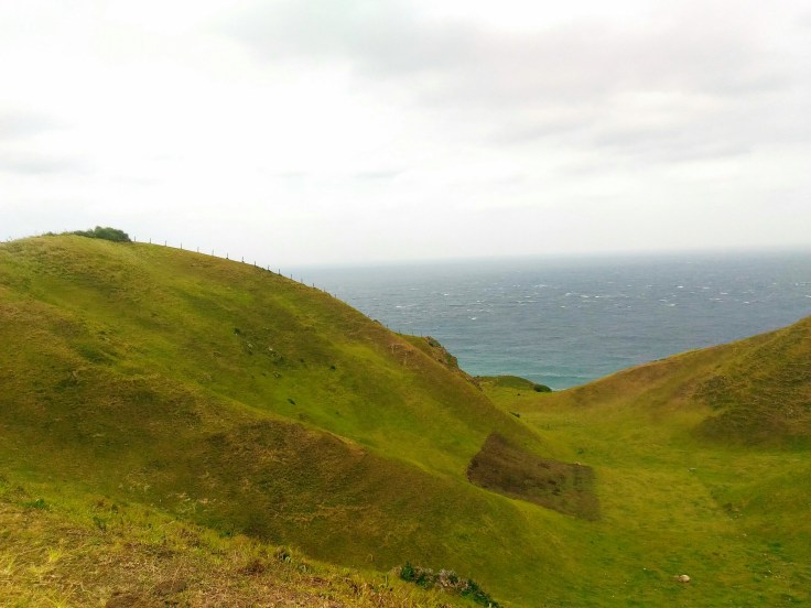 P_20160429_110904_BF_1_1