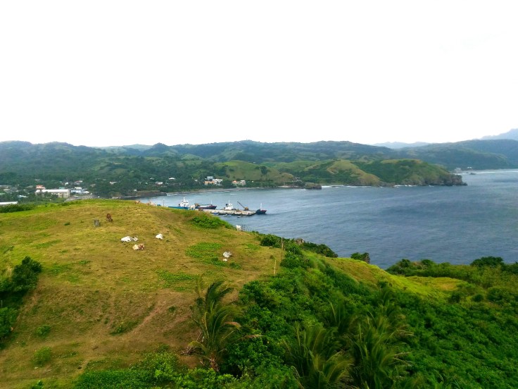 P_20160429_114545_BF_1_1